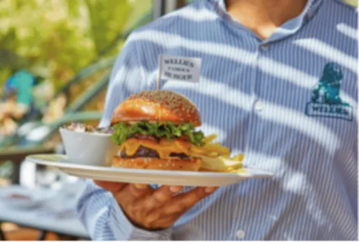 Descripción de la imagen